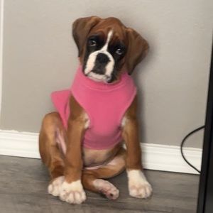 Used Pink Gooby Stretch Fleece Size Medium